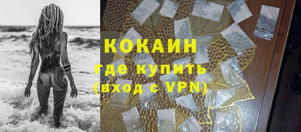 спиды Лиски