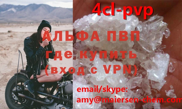 амф Ладушкин